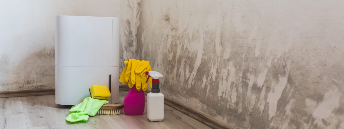 Supplies and dehumidifier for flood cleanup